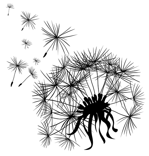 dandelio-head
